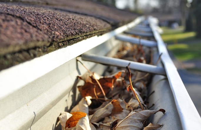 Gutter Cleaning